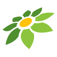 MOD APK